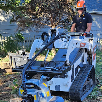 Professional stump removal using stump grinder
